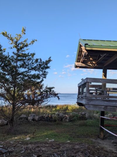 Overlook Point - Inglis, FL