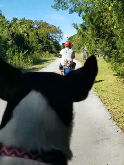 Withlacoochee Bay Trail - Inglis, FL