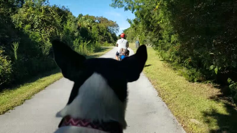 Withlacoochee Bay Trail - Inglis, FL