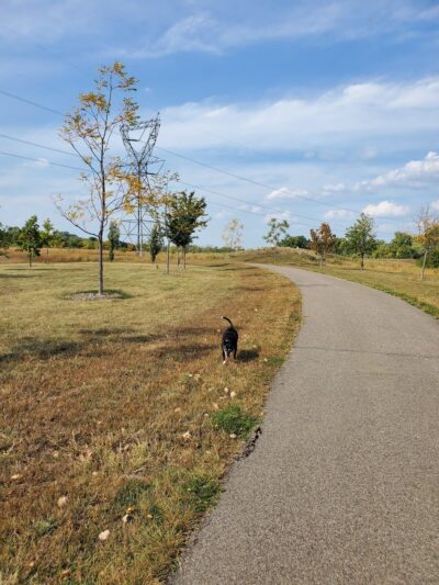Heritage Village Park - Inver Grove Heights, MN