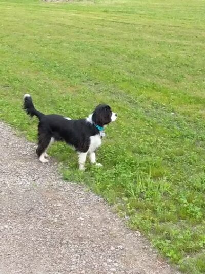 Heritage Village Park - Inver Grove Heights, MN