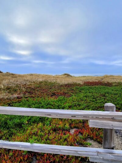Point Reyes Beach South Parking - Inverness, CA