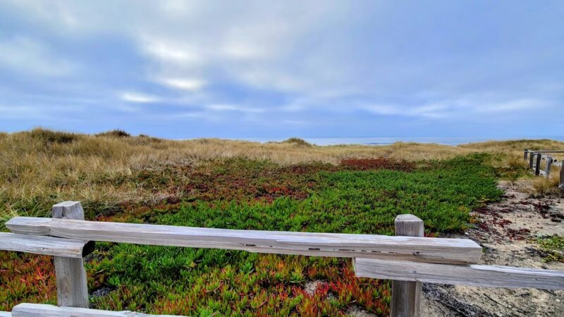 Point Reyes Beach South Parking - Inverness, CA