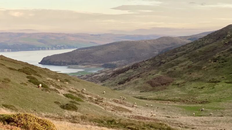 Tomales Point Trailhead - Inverness, CA