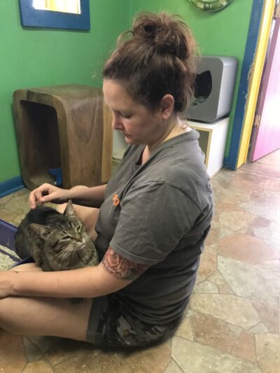 Iroquois County Animal Rescue - Iroquois, IL