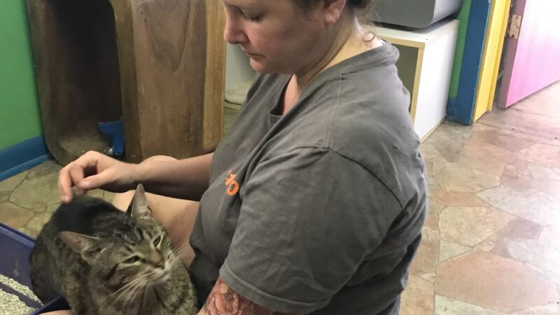 Iroquois County Animal Rescue - Iroquois, IL