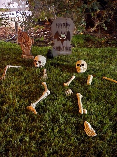 Woodflower Park - Irvine, CA