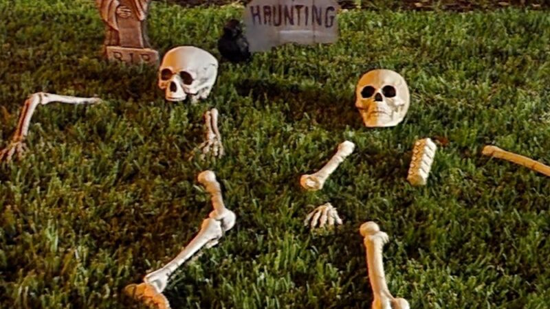 Woodflower Park - Irvine, CA