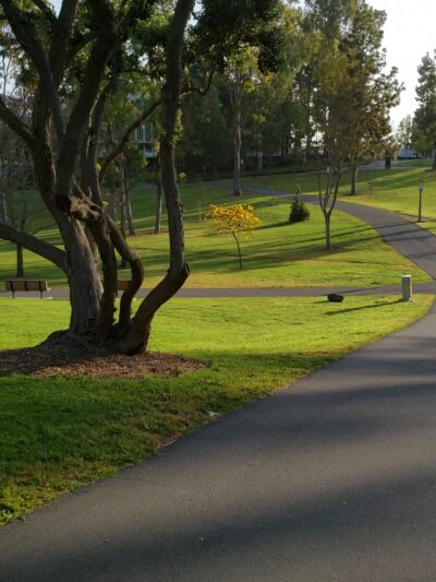 Aldrich Park - Irvine, CA