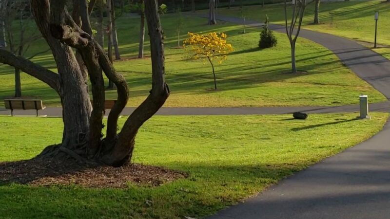 Aldrich Park - Irvine, CA