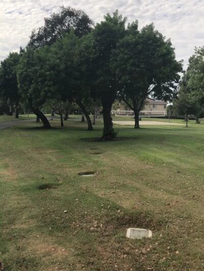 College Park - Irvine, CA