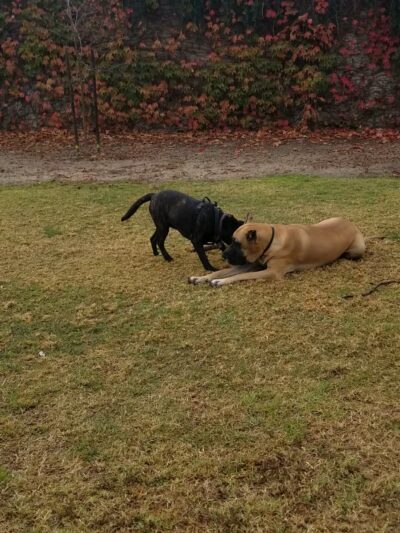 Culverdale Wilderness Park - Irvine, CA