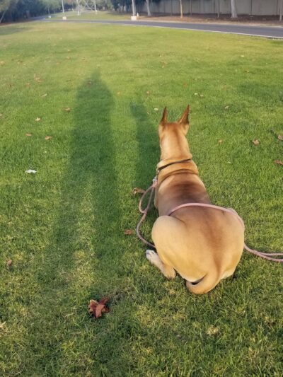 Culverdale Wilderness Park - Irvine, CA