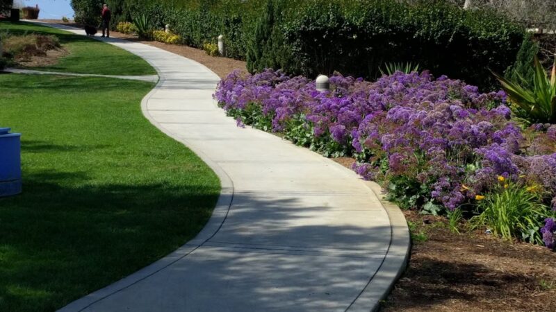 Gabrielino Park - Irvine, CA