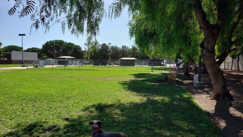 Irvine Central Bark - Irvine, CA
