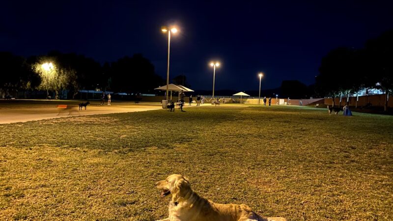 Irvine Central Bark - Irvine, CA