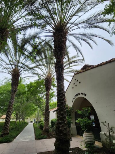 Knollcrest Park - Irvine, CA