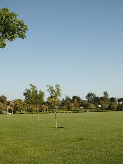 Mike Ward Community Park Woodbridge - Irvine, CA