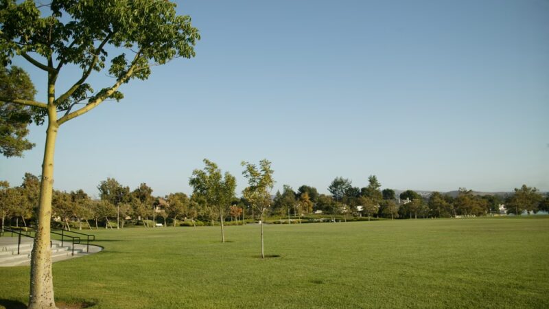 Mike Ward Community Park Woodbridge - Irvine, CA