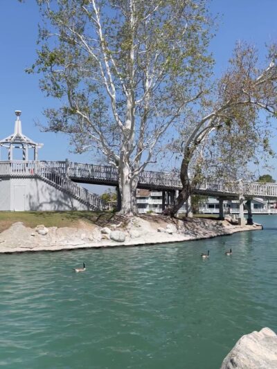 North Lake Island - Irvine, CA