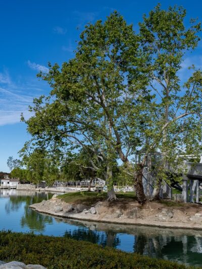 North Lake Island - Irvine, CA