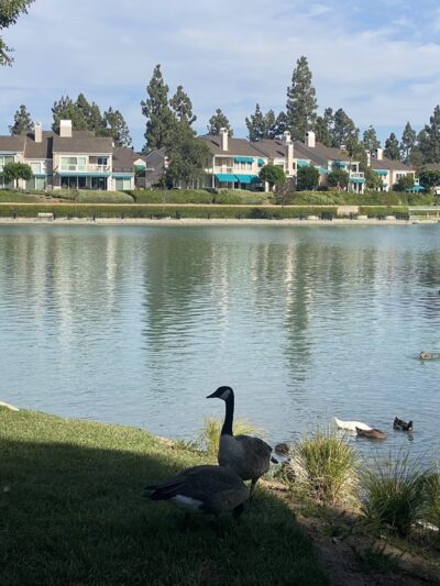 North Lake Park - Irvine, CA