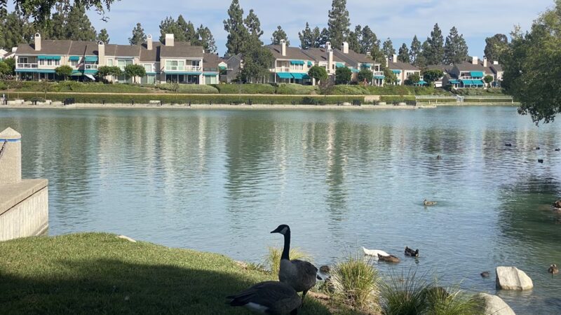 North Lake Park - Irvine, CA