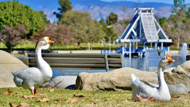 North Lake Park - Irvine, CA