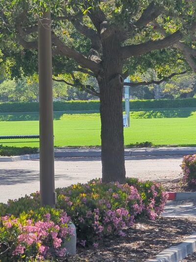 Oak Creek Community Park - Irvine, CA