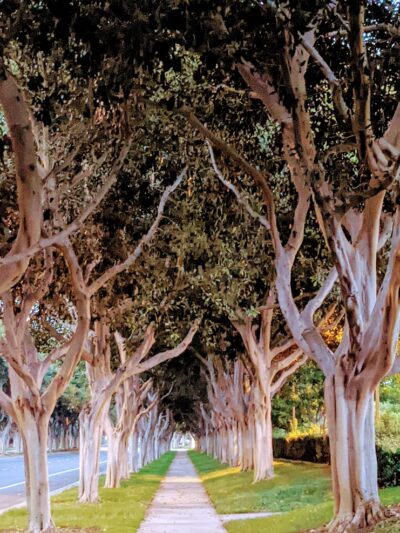 Oak Creek Community Park - Irvine, CA