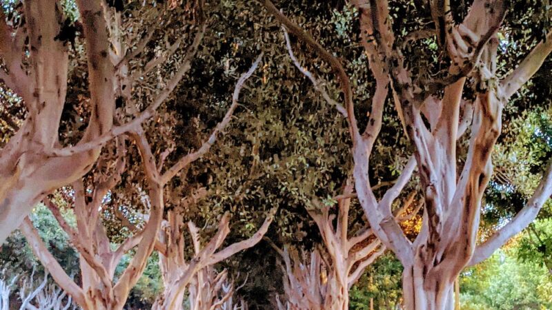 Oak Creek Community Park - Irvine, CA