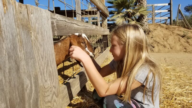 Ranch Park - Irvine, CA