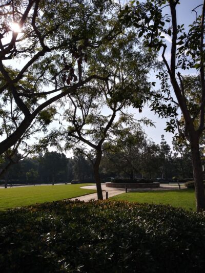 Royal Oak Park - Irvine, CA