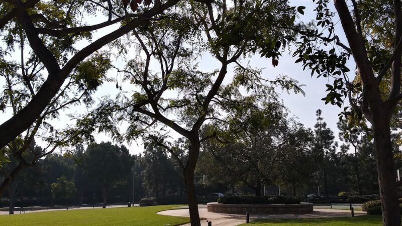 Royal Oak Park - Irvine, CA