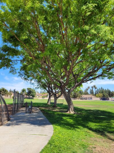 San Leandro Park - Irvine, CA