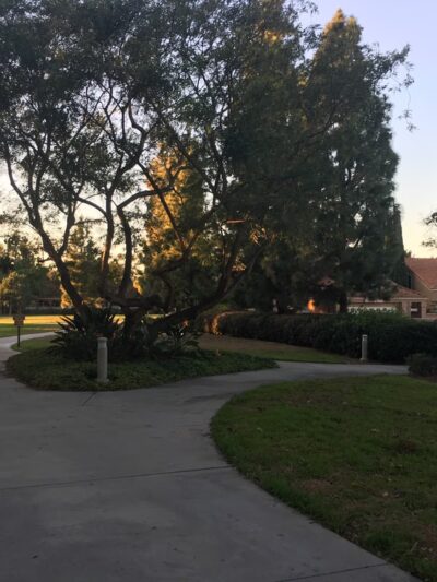 San Mateo Park - Irvine, CA