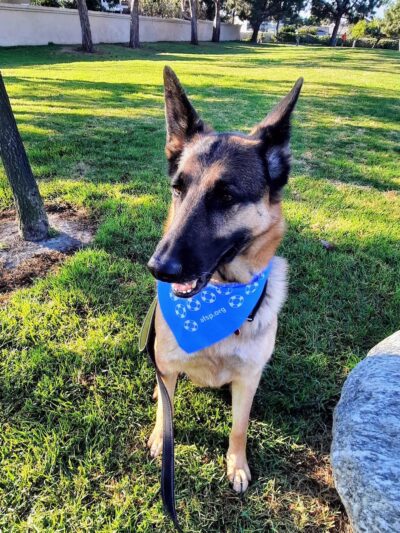 San Mateo Park - Irvine, CA