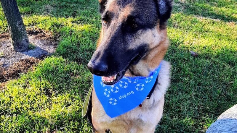 San Mateo Park - Irvine, CA