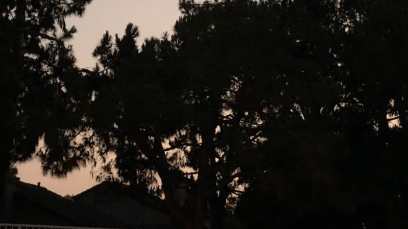 San Mateo Park - Irvine, CA