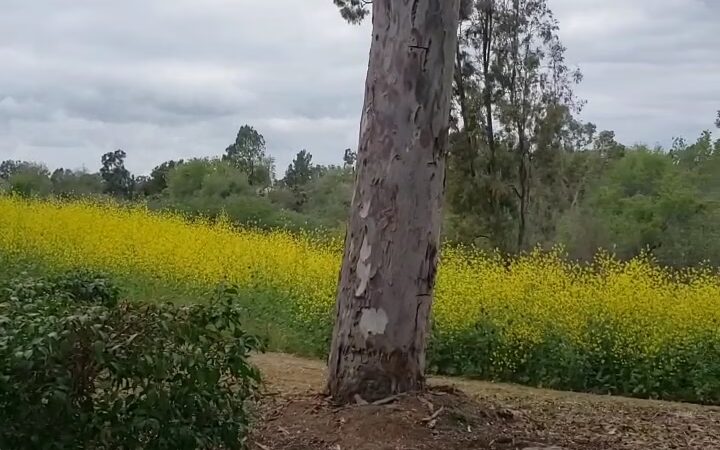 Turtle Rock Preserve and Trail - Irvine, CA