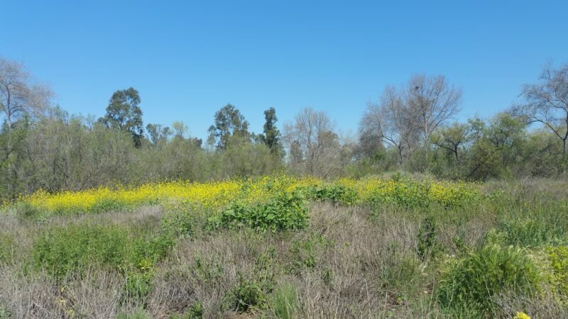 Turtle Rock Preserve and Trail - Irvine, CA