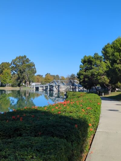 water fountain and dog water fountain - Irvine, CA