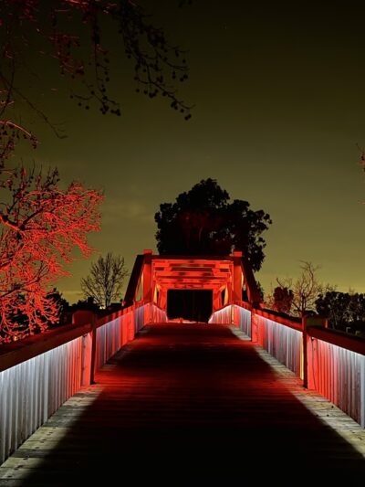 water fountain and dog water fountain - Irvine, CA