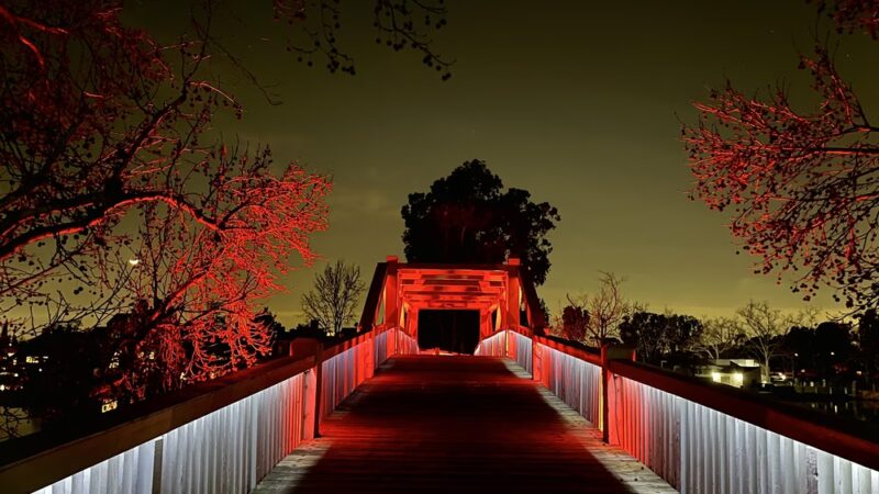 water fountain and dog water fountain - Irvine, CA