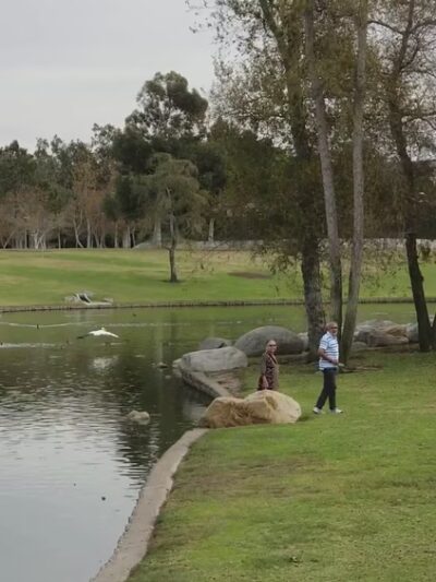 William R Mason Regional Park - Irvine, CA