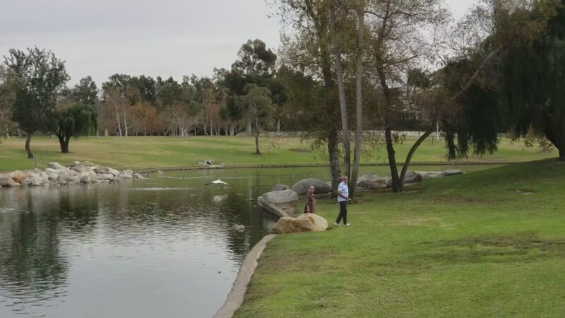 William R Mason Regional Park - Irvine, CA