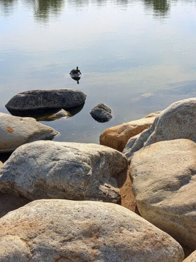 William R Mason Regional Park - Irvine, CA