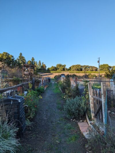 Wintermist Park - Irvine, CA