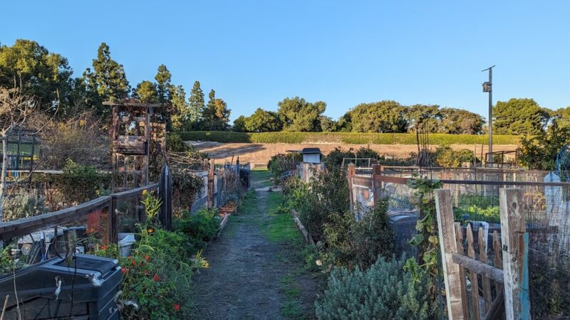 Wintermist Park - Irvine, CA