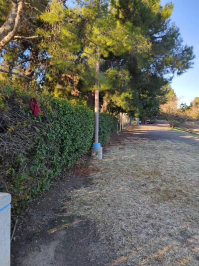 Wintermist Park - Irvine, CA